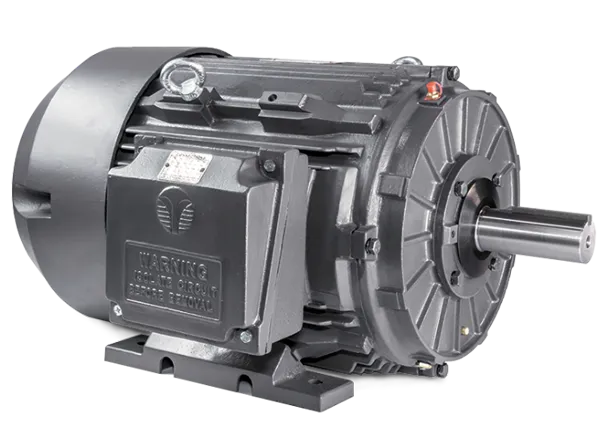 Motor hierro fundido