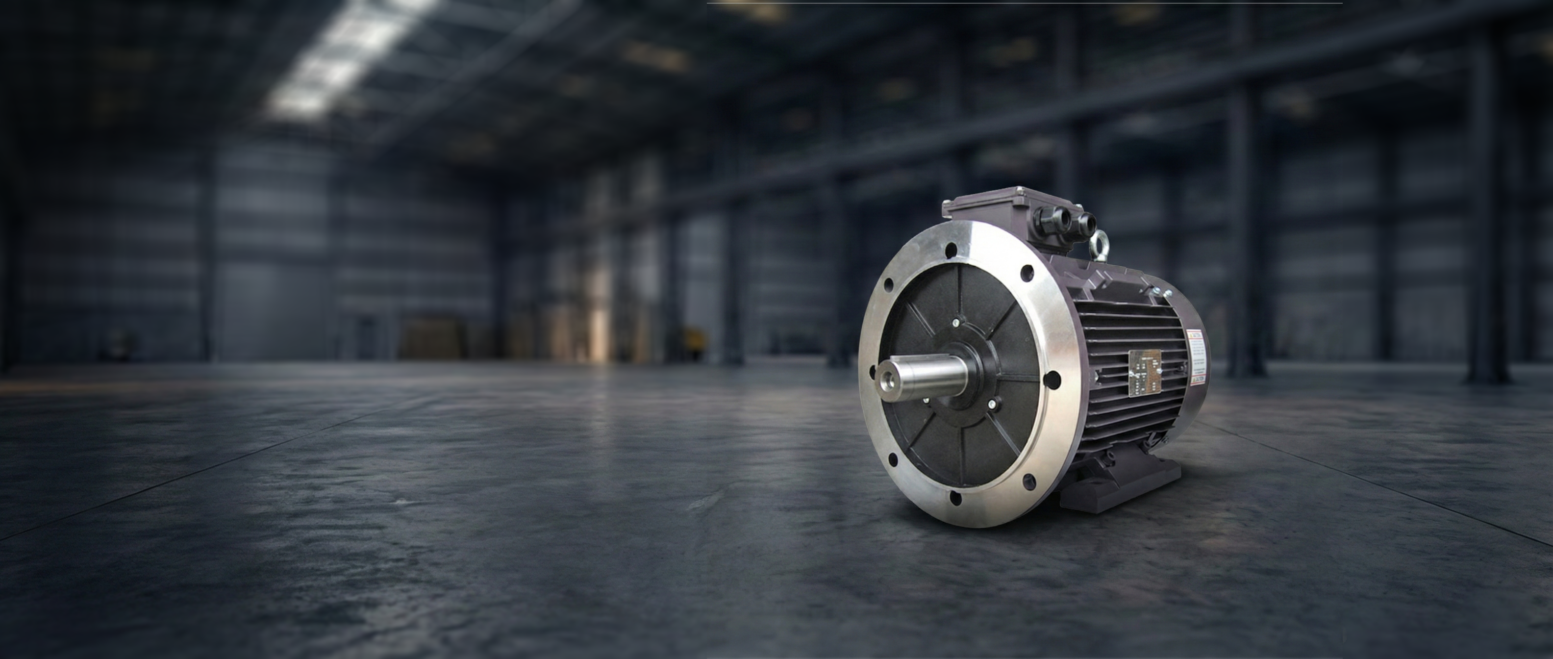 Motor Techtop trifásico IEC, vista 2 (imagen de referencia).